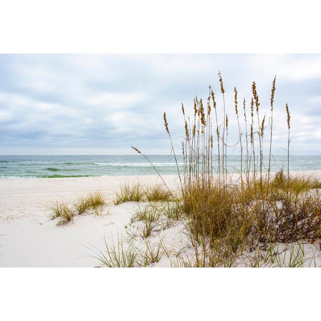 Gulf Islands National Seashore by Shunyu Fan - No Frame Print on Canvas Beachcrest Home Size: 81cm H x 122cm W on Productcaster.