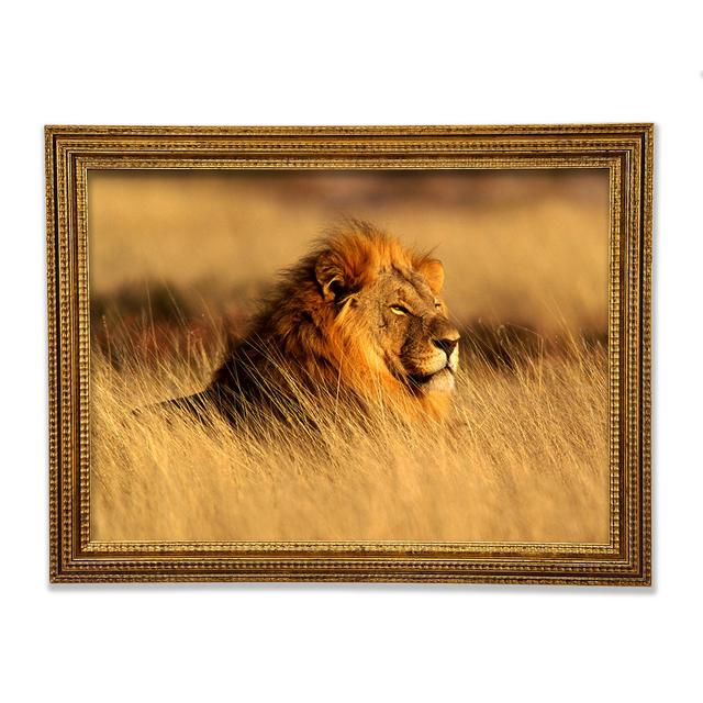 Pride Of The Jungle - Single Picture Frame Art Prints Ebern Designs Size: 42cm H x 59.7cm W x 3cm D on Productcaster.