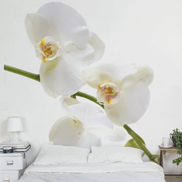 Tapete White Orchid Waters 2.4m x 240cm Stahl Ebern Designs on Productcaster.