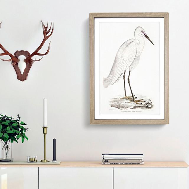 White Heron by John Edward Gray - Picture Frame Painting Print East Urban Home Size: 48cm H x 36cm W x 2cm D, Frame Option: Oak Framed on Productcaster.