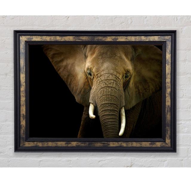 Stunning Elephant Face Framed Print Brayden Studio Format: Gold/Black Framed Paper, Size: 59.7cm H x 84.1cm W x 8cm D on Productcaster.