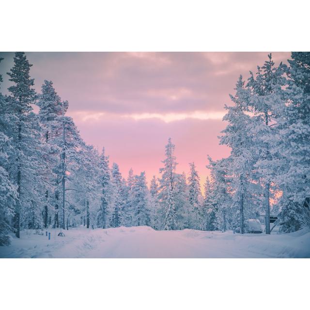 Snowy Forest von Serts - Ohne Rahmen auf Leinwand 17 Stories Größe: 60 cm H x 90 cm B on Productcaster.