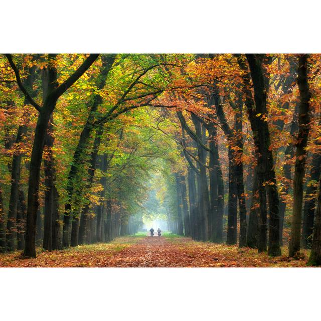 Majestic Autumn Leaf Trees by RelaxFoto.de - No Frame Art Prints on Canvas Alpen Home Size: 51cm H x 76cm W on Productcaster.