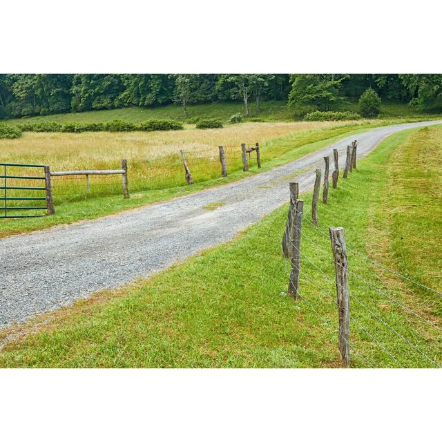 Country Road III by James McLoughlin - Wrapped Canvas Photograph Ebern Designs Size: 61cm H x 91cm W on Productcaster.