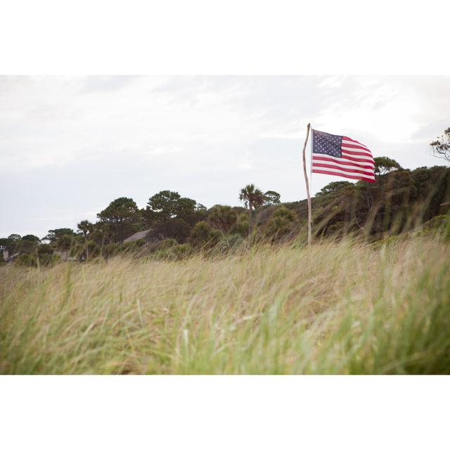 American Flag In The High Grass by Wherelifeishidden - Wrapped Canvas Print 17 Stories Size: 61cm H x 91cm W on Productcaster.