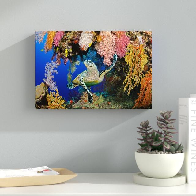 Hawksbill Turtle Fiji - Wrapped Canvas Photograph Print East Urban Home Size: 101.6cm H x 152.4cm W x 5.08cm D on Productcaster.