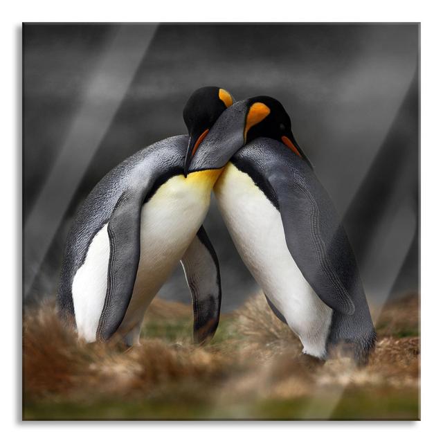 Penguins in the Antarctic - Unframed Photograph on Glass Brayden Studio Size: 70cm H x 70cm W x 0.4cm D on Productcaster.