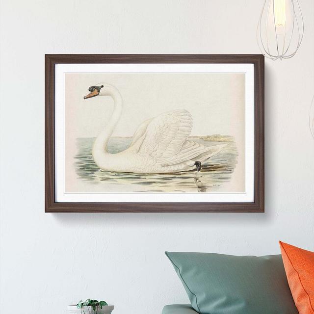 White Swan by Von Wright - Picture Frame Art Prints East Urban Home Size: 36cm H x 48cm W x 2cm D, Frame Option: Walnut Framed on Productcaster.