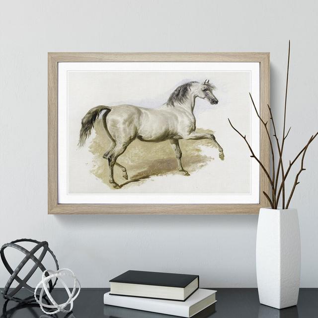 Study of a Grey Arab Horse by John Frederick Herring - Picture Frame Painting on MDF East Urban Home Size: 48cm H x 65cm W x 2cm D, Frame Option: Oak on Productcaster.