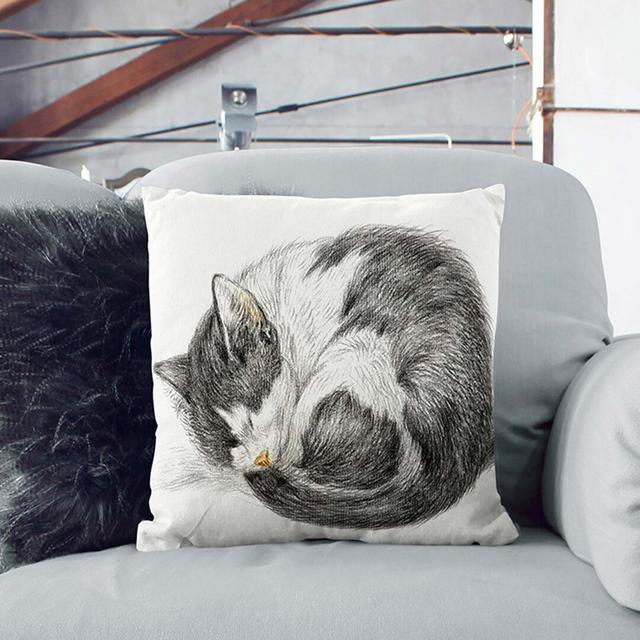 A Curled Cat Square Throw Cushion East Urban Home Size: 40 x 40 cm, Backing Colour: Stone on Productcaster.