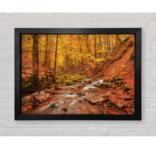 Soft Trickling Water Through The Trees - Single Picture Frame Art Prints Bright Star Size: 84.1cm H x 118.9cm W x 3.4cm D on Productcaster.