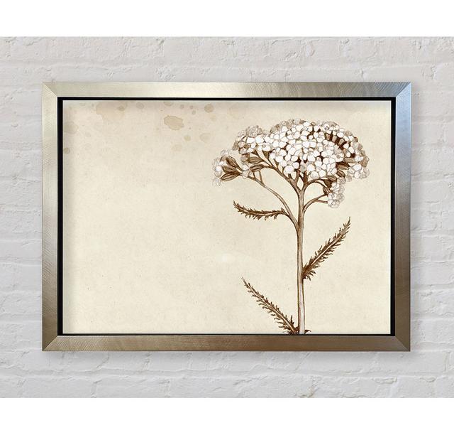 Floral Beauty Sepia - Print Rosalind Wheeler Size: 100cm H x 141.4cm W x 3.4cm D on Productcaster.