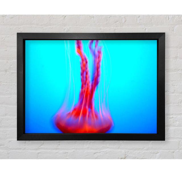 Jellyfish Movement Framed Print Highland Dunes Size: 42cm H x 59.7cm W x 3.4cm D on Productcaster.