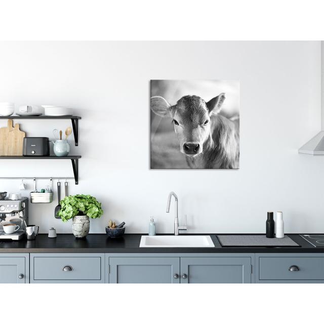 Young Calf Art Black/White - No Frame Print on Glass August Grove Size: 70cm H x 70cm W x 0.4cm D on Productcaster.