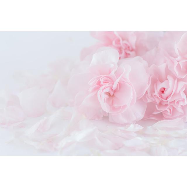 Pink Carnation Flower by Supitchamcsdam - Wrapped Canvas Photograph 17 Stories Size: 20cm H x 30cm W on Productcaster.