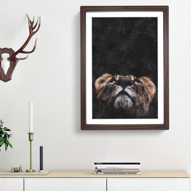 Lion Looking Upwards - Picture Frame Graphic Art Print East Urban Home Size: 45cm H x 33cm W x 2cm D, Frame Option: Walnut Framed on Productcaster.