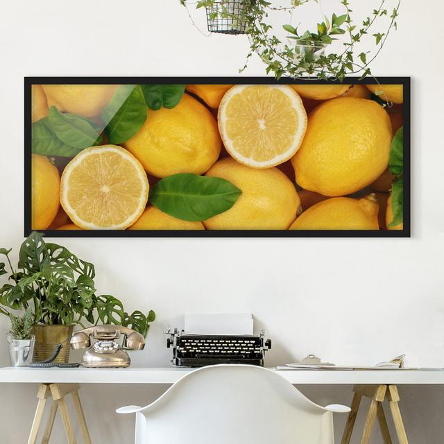 Gerahmtes Poster Juicy Lemons ModernMoments Rahmenauswahl: Schwarzer Rahmen, Maße: 30 cm H x 75 cm B x 2 cm T on Productcaster.