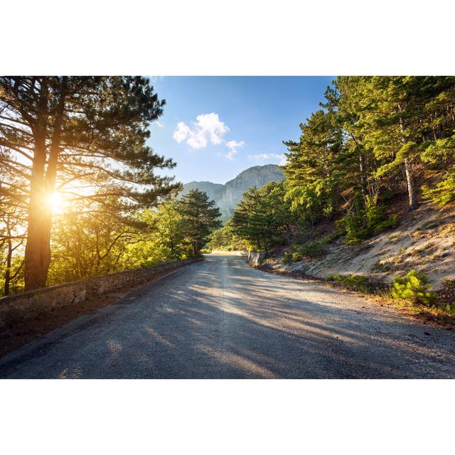 Forest at Sunset - Wrapped Canvas Photograph Alpen Home Size: 61cm H x 91cm W x 3.8cm D on Productcaster.