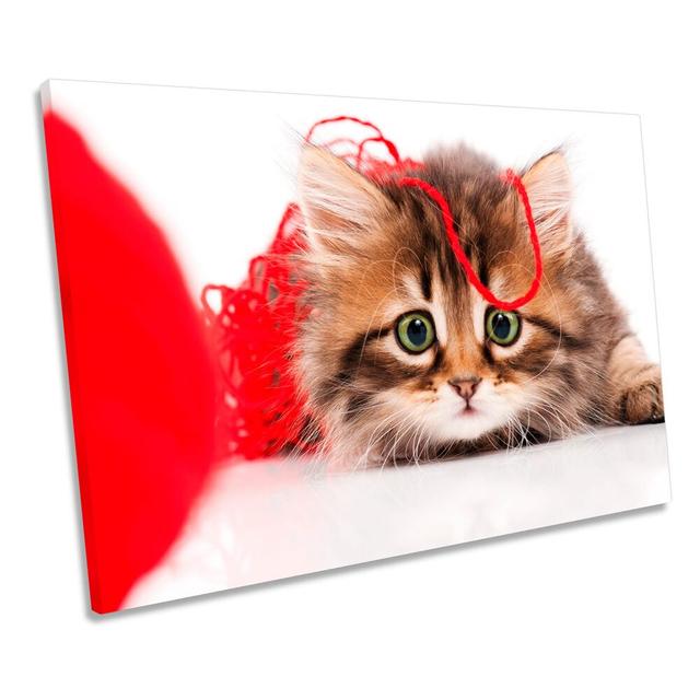 Cute Kitten Cat Wool Picture CANVAS WALL ART Print Ebern Designs Size: 50.8cm H x 76.2cm W x 2cm D on Productcaster.