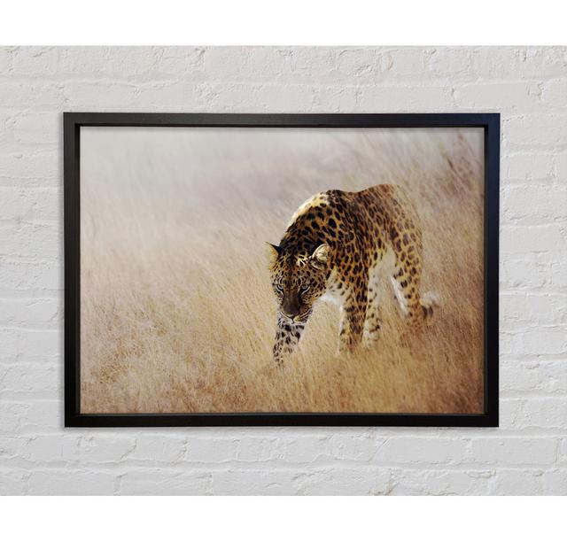 Single Picture Frame Art Prints on Canvas Bright Star Size: 84.1cm H x 118.9cm W x 3.3cm D on Productcaster.