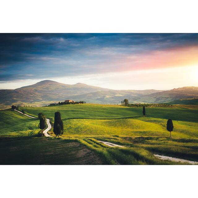 Tuscany Landscape by Borchee - Print Alpen Home Size: 30cm H x 20cm W on Productcaster.