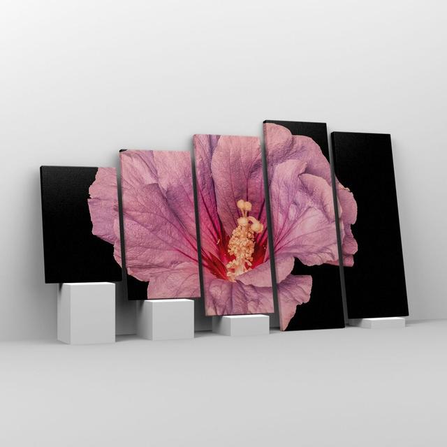 Hibiscus Flower Pink - 5 Piece Wrapped Canvas Photograph Ebern Designs Size: 60cm H x 100cm W x 1.8cm D on Productcaster.