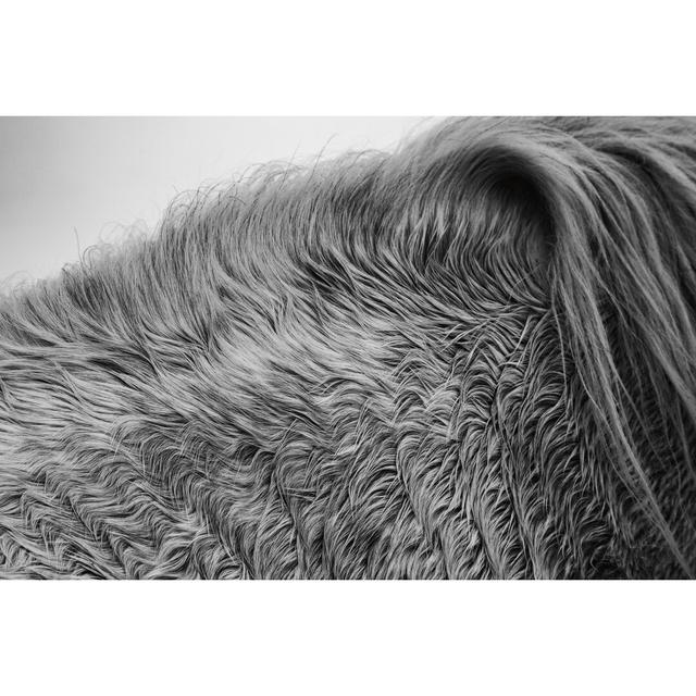 Horse Hair by Aledanda - Wrapped Canvas Print Ebern Designs Size: 81cm H x 122cm W on Productcaster.