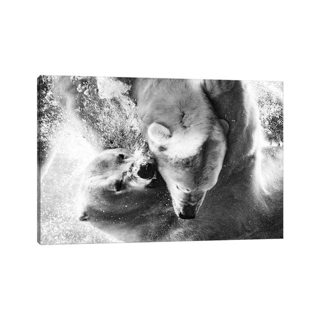 Polar Bears Fighting Underwater Close up in Black and White by Nik Rave - Wrapped Canvas Photograph Alpen Home Size: 20.32cm H x 30.48cm W x 1.9cm D on Productcaster.