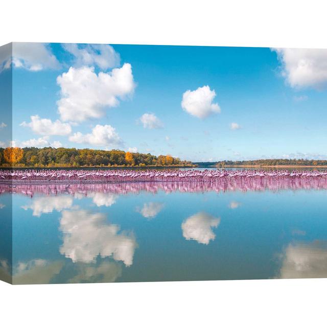 Flamingos Reflection, Camargue, France by Pangea - Wrapped Canvas Art Prints Highland Dunes Size: 90cm H x 120cm W x 4cm D on Productcaster.