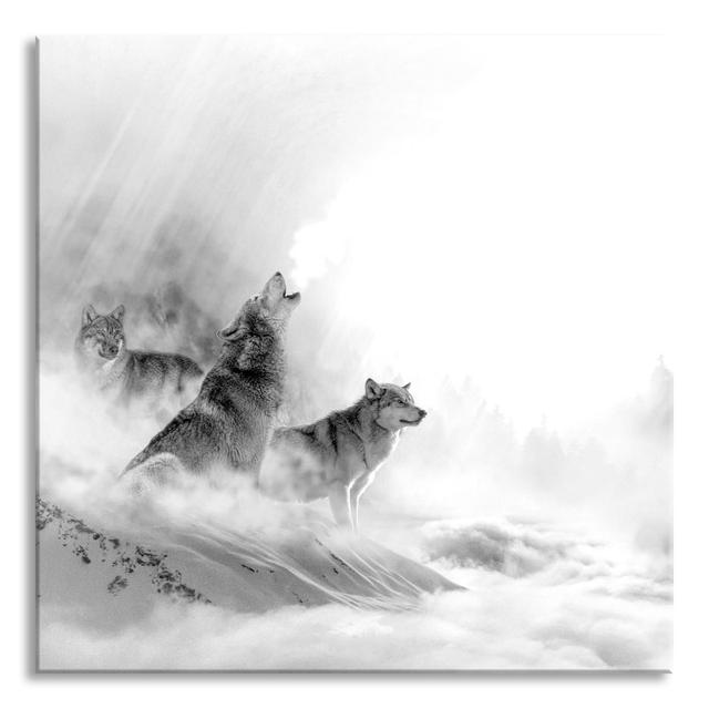 Howling Wolves Hunt Deer in the Fog, Monochrome - Unframed Photograph on Glass Alpen Home Size: 80cm H x 80cm W x 0.4cm D on Productcaster.