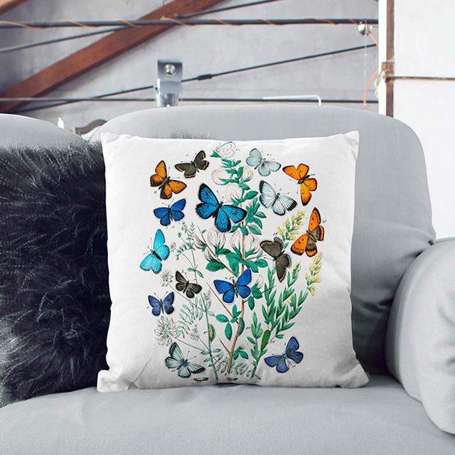 Butterflies and Moths by W.F. Kirby Cushion with Filling East Urban Home Size: 40cm H x 40cm W x 15cm D on Productcaster.