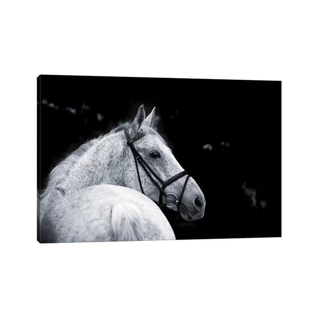 Bridled Beauty by KaCee Erle - Wrapped Canvas Photograph Brambly Cottage Size: 30.48cm H x 45.72cm W x 1.905cm D on Productcaster.