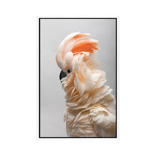 A Vulnerable Salmon-Crested Cockatoo At The Sedgwick County Zoo von Joel Sartore - Gallery-Wrapped Canvas Giclée on Canvas Sansibar Home Format: Weiß on Productcaster.