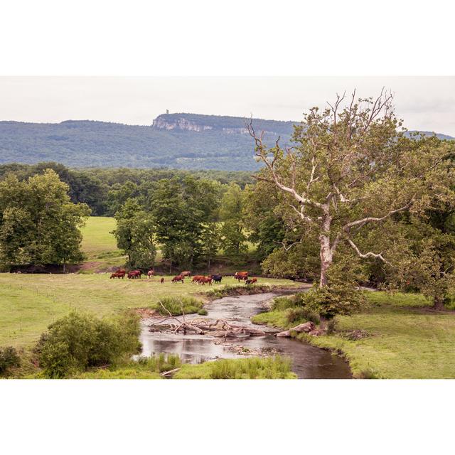 Essary River In New Paltz - Wrapped Canvas Photograph Alpen Home Size: 20cm H x 30cm W x 3.8cm D on Productcaster.