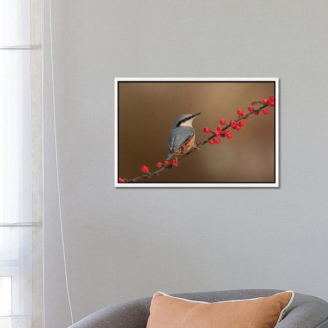 Nuthatch And Berries by Dean Mason - Print on Canvas Ebern Designs Format: White Framed, Size: 45.72cm H x 66.04cm W x 3.81cm D on Productcaster.