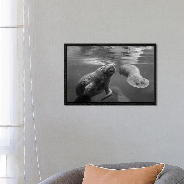 West Indian Manatee Mother And Calf Surfacing, Crystal River, Florida von Tim Fitzharris - Gallery-Wrapped Canvas Giclée on Canvas Beachcrest Home Grö on Productcaster.