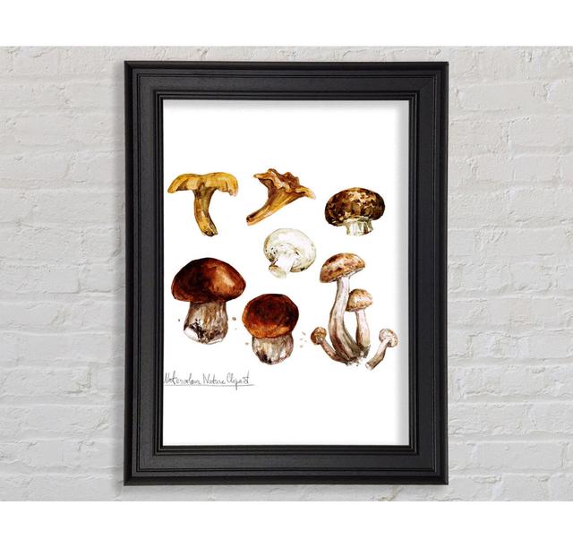 Different Types Of Mushrooms Framed Print Brambly Cottage Size: 42cm H x 21cm W on Productcaster.