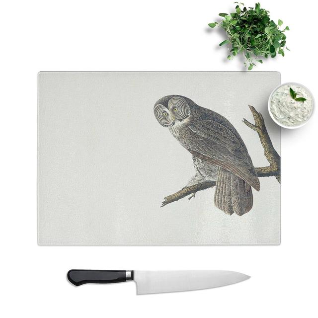 Glass Great Cinereous Owl by John James Audubon Chopping Board East Urban Home Size: 28.5 cm W x 20 cm L on Productcaster.