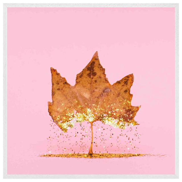 Kriemann Glitter Leaf - Print Latitude Run Size: 76cm H x 76cm W x 4cm D, Frame Colour: White on Productcaster.