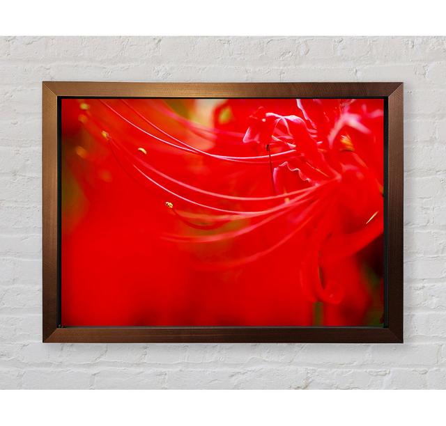 Red Heaven - Single Picture Frame Art Prints Ebern Designs Size: 84.1cm H x 118.9cm W x 3.4cm D on Productcaster.