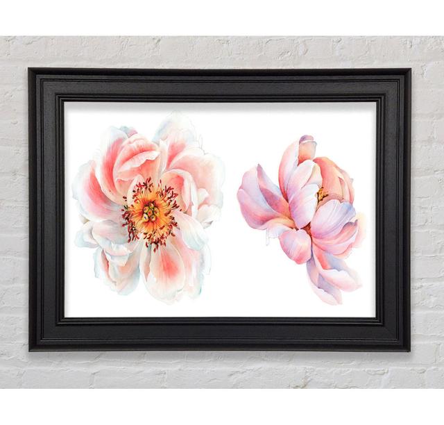 Two Beautiful Peach Flowers ClassicLiving Size: 42cm H x 59.7cm W x 8cm D, Format: Black Framed Paper on Productcaster.