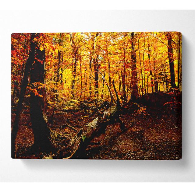 Autumn Forest Seat - Kunstdrucke auf Leinwand Alpen Home Größe: 81 cm H x 121,9 cm B x 10 cm T on Productcaster.