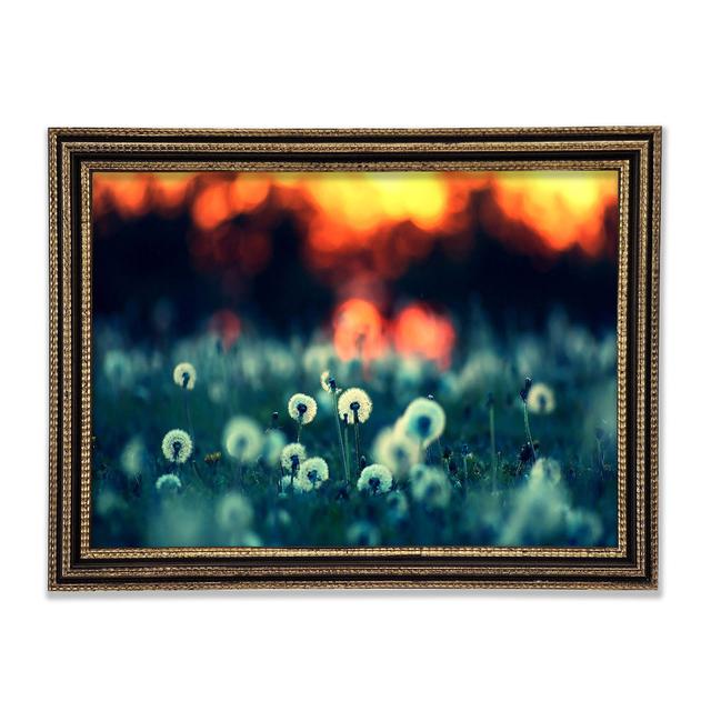 Dandelions At Sunset Framed Print Rosalind Wheeler Size: 84.1cm H x 118.9cm W x 3cm D on Productcaster.