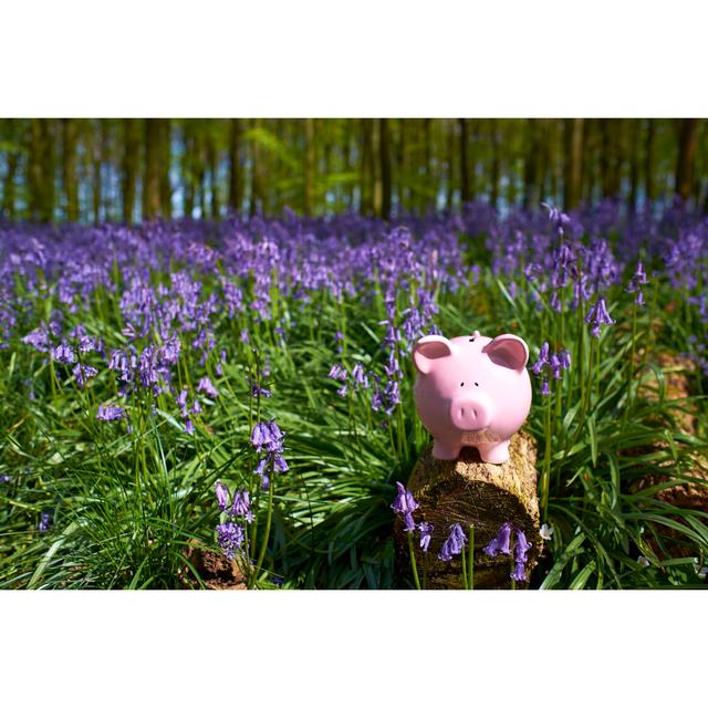 Piggy Bank Amongst The Bluebells by Simonbradfield - No Frame Art Prints on Canvas 17 Stories Size: 51cm H x 76cm W on Productcaster.