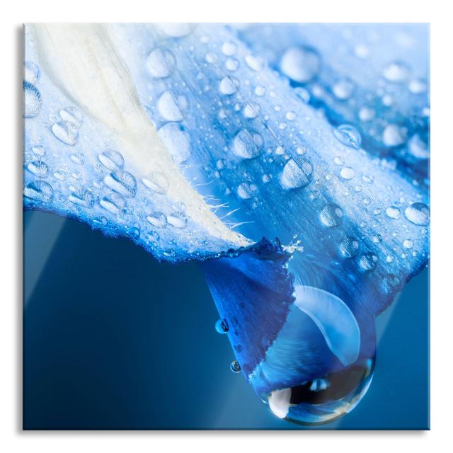 Raindrops on Flower Petals - Unframed Photograph on Glass Brayden Studio Size: 70cm H x 70cm W x 0.4cm D on Productcaster.