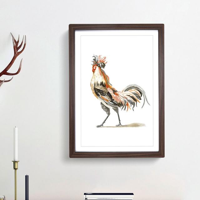 Proud Cockerel by Johan Teyler - Picture Frame Painting Print East Urban Home Size: 65cm H x 48cm W x 2cm D, Frame Option: Walnut Framed on Productcaster.