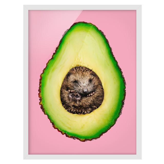 Picture With Frame - Jonas Loose - Avocado With Hedgehog - Portrait 4:3 Maturi Size: 70cm H x 50cm W x 2cm D, Frame Option: White Framed on Productcaster.