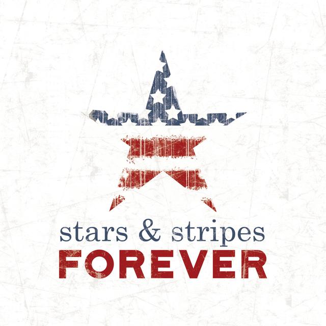 Stars Stripes Forever Star - Wrapped Canvas Print The Seasonal Aisle Size: 51cm H x 51cm W x 3.8cm D on Productcaster.