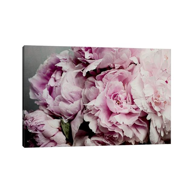 Peonies Galore II by Elizabeth Urquhart - Wrapped Canvas Print Canora Grey Size: 66cm H x 101.5cm W x 3.8cm D on Productcaster.