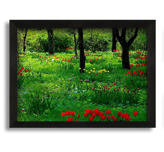 Tulip Woodland - Photograph on Canvas Brayden Studio on Productcaster.